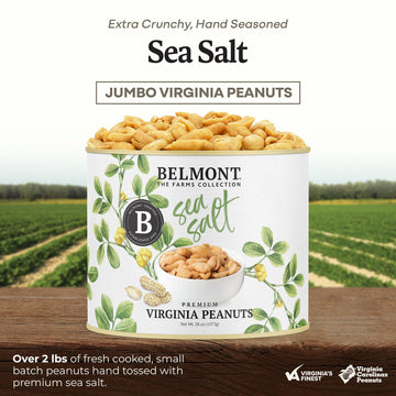 Belmont Peanuts Gourmet Sea-Salted Virginia Peanuts, 38 oz, 7g Protein, No Preservatives, Pack of 1
