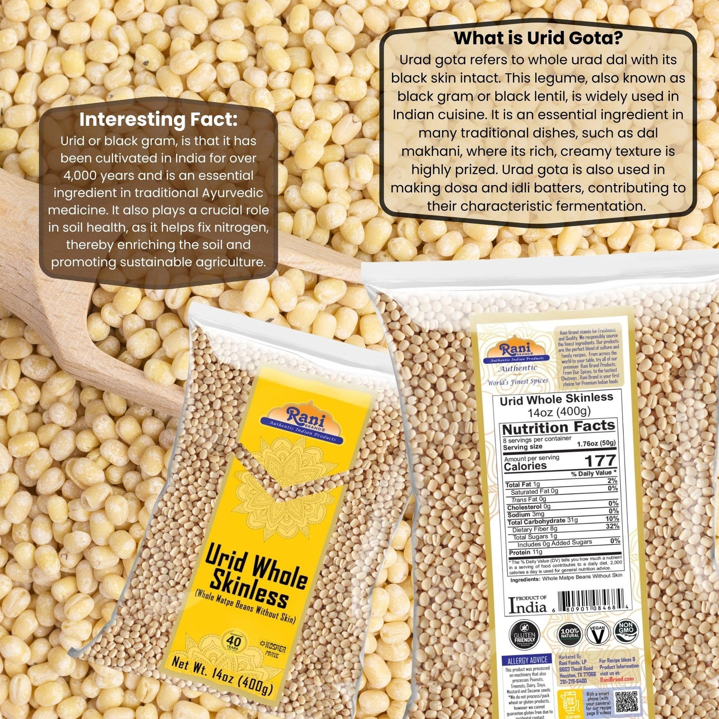 Rani Urid/Urad Gota White (Matpe Beans Skinless) Indian Lentils 14Oz (400G) ~ All Natural | Gluten Friendly | Non-Gmo | Kosher |