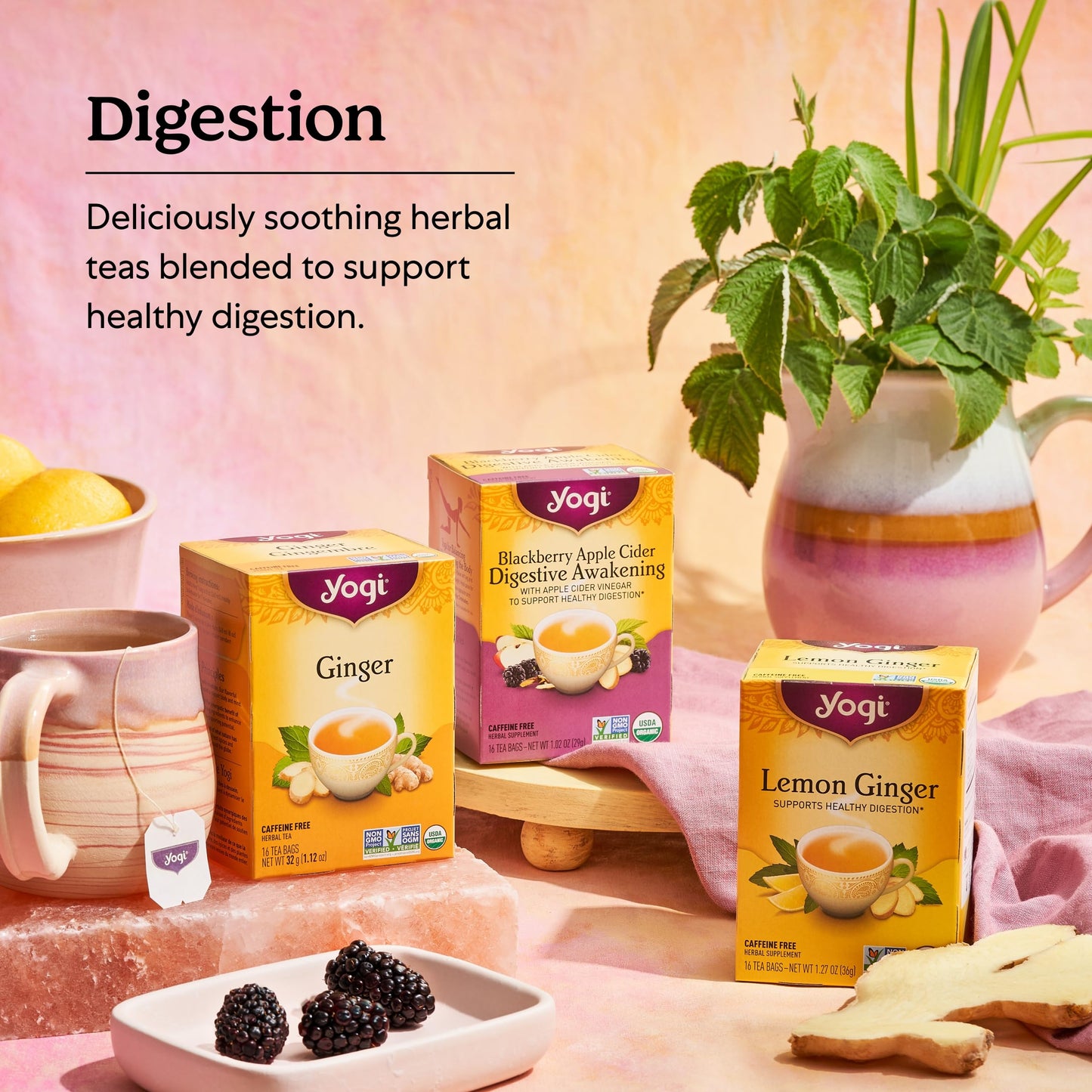 Yogi Tea Ginger Tea - 16 Tea Bags Per Pack (4 Packs) - Organic Ginger Tea Bags - Digestive Support Tea - Includes Ginger Root, L