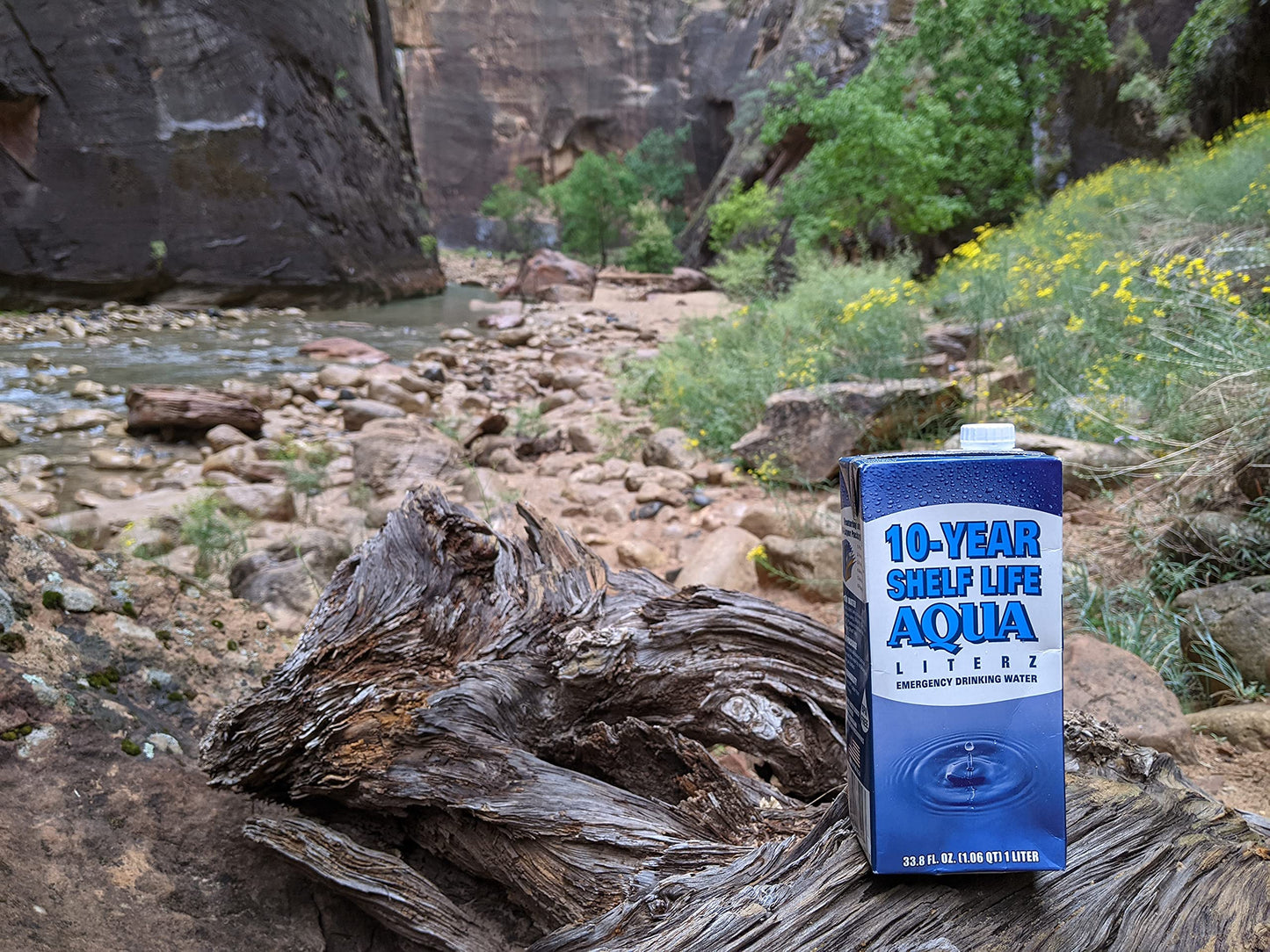 Ready America 10 Year Shelf Life Water, Pack of 12
