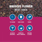 Tiesta Tea - Dried Hibiscus | Cut & Sifted Hibiscus Flower | Premium Loose Leaf Tea Blend | Non-Caffeinated Tea | Make Hot Or Ic