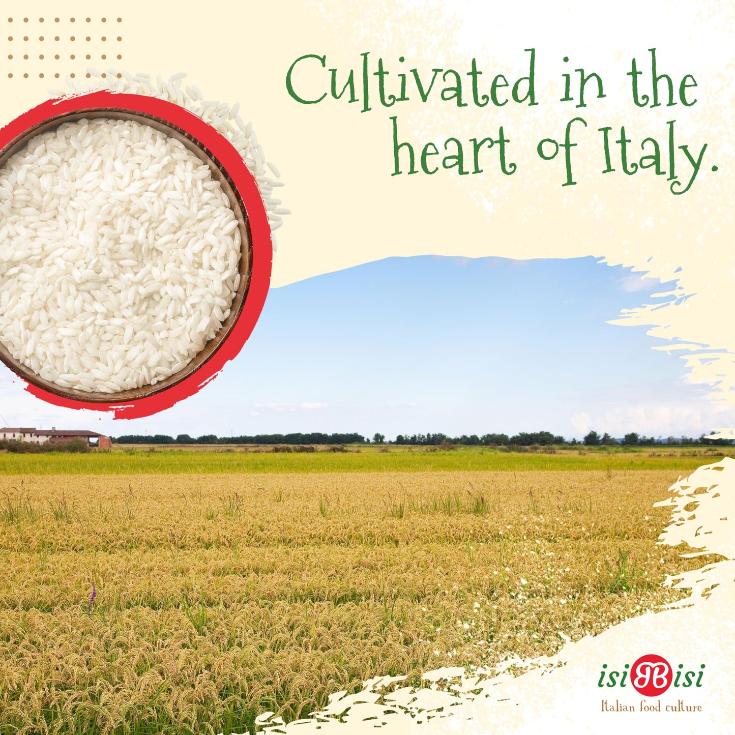 isiBisi Gluten Free Carnaroli Rice for Risotto – 2.2 LB Vacuum-Sealed Italian Long Grain Rice