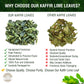 Premium Dried Kaffir Lime Leaves - 0.74 Oz (21G) Pack For Authentic Thai Flavor (B)