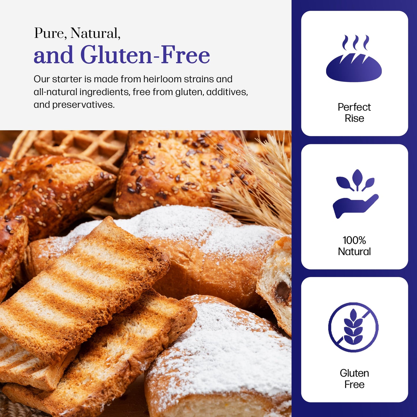 Gluten Free Sourdough Starter - Dehydrated Heirloom Style Gluten Free Sourdough Starter for Sourdough Bread, Pizza, Buns, Pancak