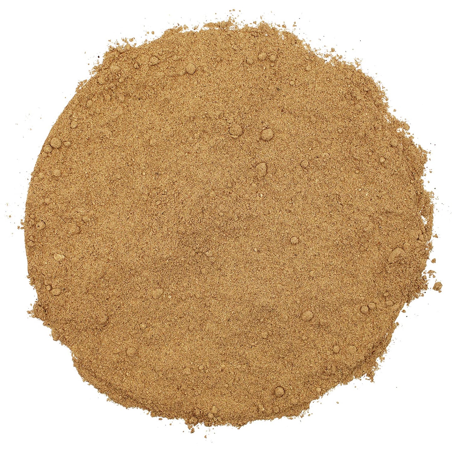 Spice Enthusiast Gingerbread Spice - 4 oz