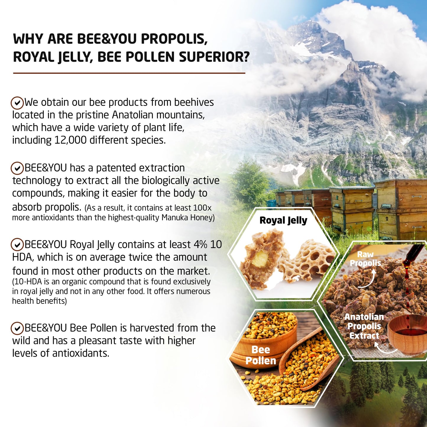 Bee And You Pine Raw Honey, Honeydew Honey, Wild-Crafted, 100% Natural, Unprocessed, Enzymes, Antioxidants, Manuka Honey Alterna