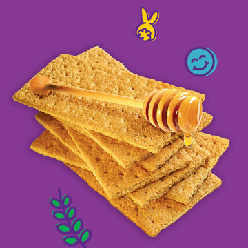 Annies Organic Honey Graham Cracker Bricks 14.4 oz (Pack of 4)