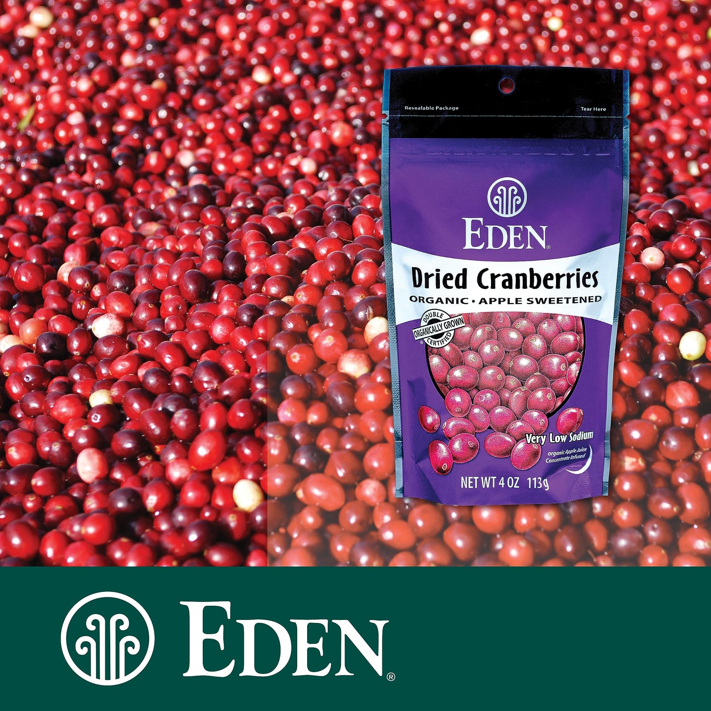 Eden Foods Organic Dried Cranberries Sweetened with Apple Juice - 4 oz