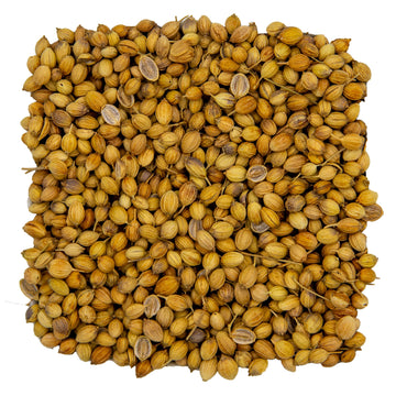 3 Lbs Coriander Seeds - Despensa Colombiana Cilantro Seed - Bulk Coriander Seeds Whole 3 Lbs - Semillas De Cilantro - Ideal For