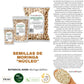 Aroma Depot 4 oz. Moringa Seeds KERNEL - 100% Natural, Raw, Off White Edible Superfood