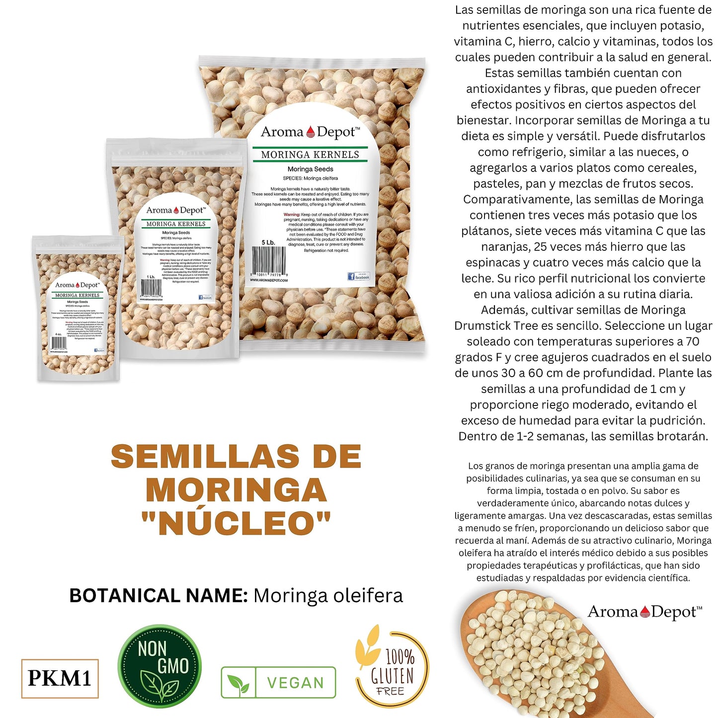 Aroma Depot 4 oz. Moringa Seeds KERNEL - 100% Natural, Raw, Off White Edible Superfood