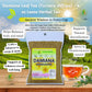 Damiana Leaf Tea (Turnera diffusa) - 4 oz Loose Herbal Te - Authentic Mexican Origin - 100% Natural  Non-GMO  Caffeine-Free  Gluten-Free  Vegan - Herbal Infusion by Bexpertsusa