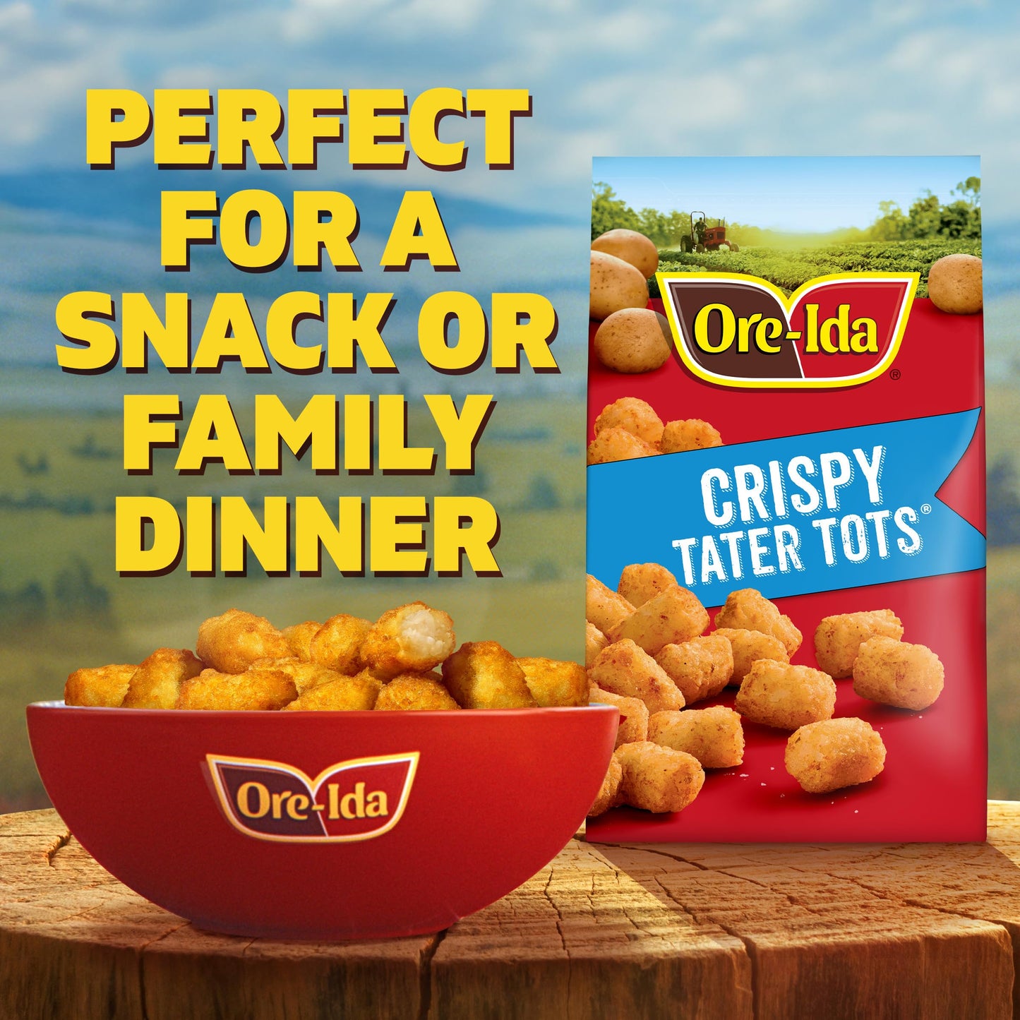 Ore-Ida Crispy Tater Tots Seasoned Shredded Frozen Potatoes, 32 oz Bag