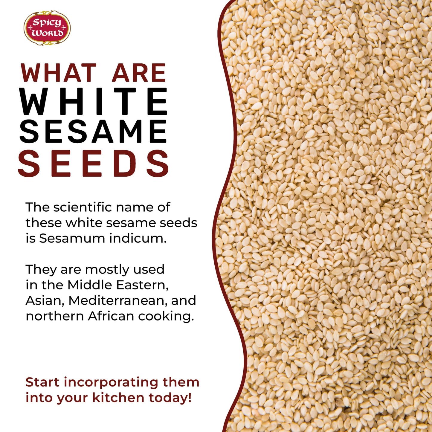 White Sesame Seeds 14Oz Bag - Natural, Raw, Hulled - By Spicy World