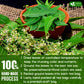 Freshdrinkus, Enhanced 33 Neem Leaf Tea Bags, 100% Natural And Pure From Neem Leaves. Herbal Tea. No Sugar, No Caffeine, No Gluten, Vegan.