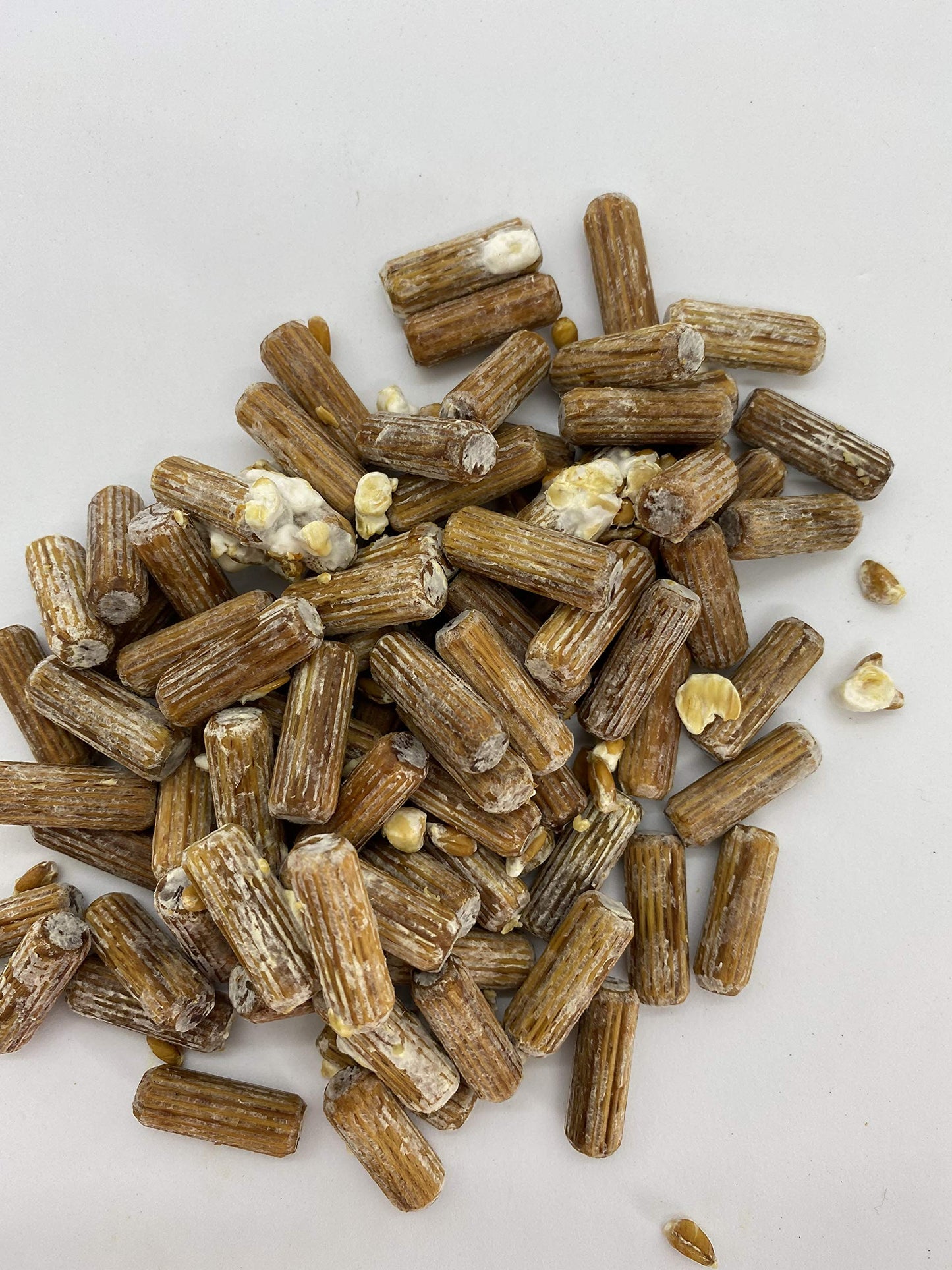 50 count Shiitake Plug Spawn