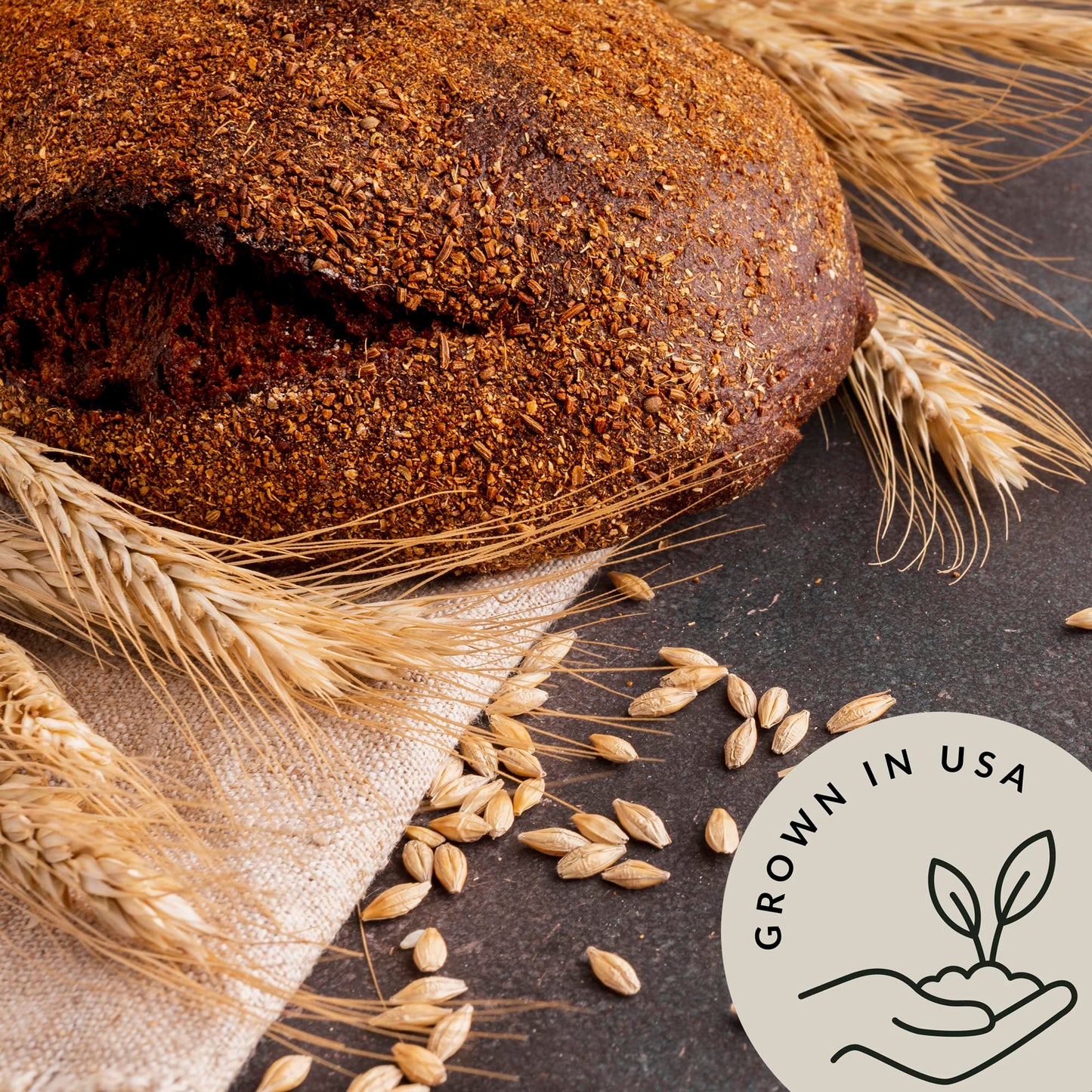 Be Still Farms Organic Soft White Wheat Berries (5.8Lb) - Healthy Whole Grains Bulk - Ideal For Feeder Oats, Flour, Bread, Soup