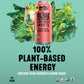 Yachak Yerba Mate Drink, Passionfruit Flavor, 16 Fl Oz (Pack of 12), Liquid