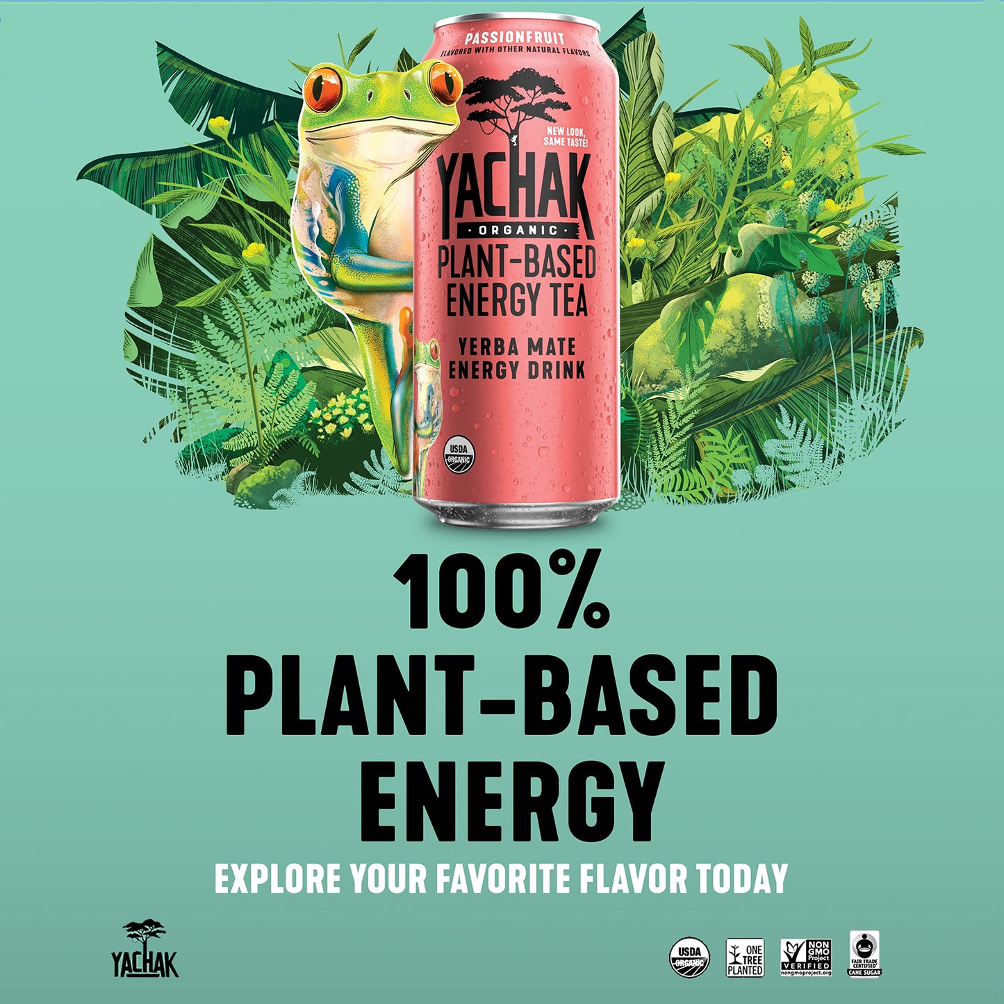 Yachak Yerba Mate Drink, Passionfruit Flavor, 16 Fl Oz (Pack of 12), Liquid