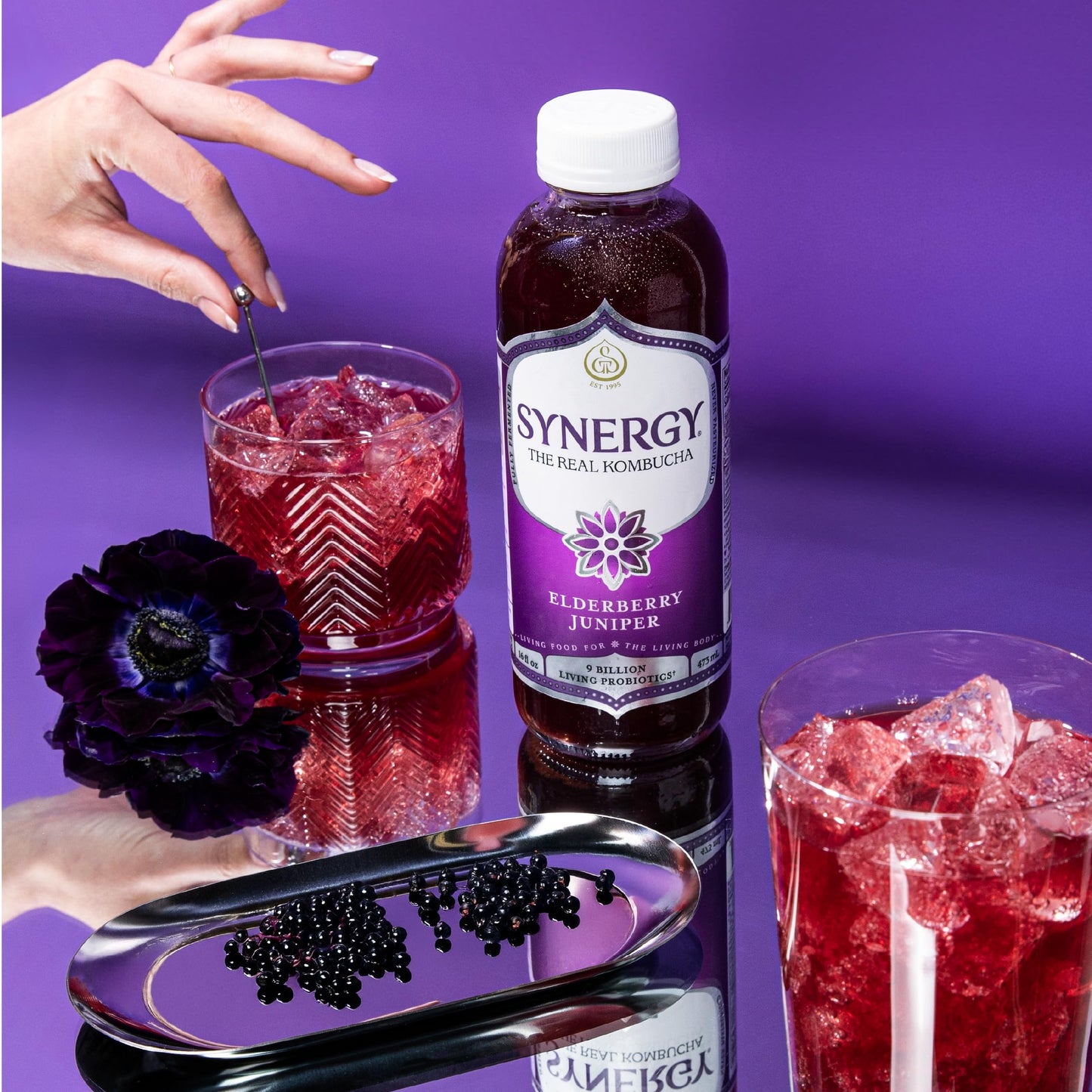 SYNERGY The Real Kombucha - Elderberry Juniper - 16 fl oz Bottle - Raw Probiotic Drink for Gut Health and Immune Support