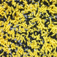 Sprinkle Deco Edible Confetti Sprinkles 6oz - BumbleBee Yellow Black White for Cake, Cookie, Cupcake, Ice Cream, Donut