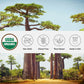 One Farm by WAAYB Organic Baobab Powder - Non-GMO, Fair-Trade, Vegan, Gluten Free, Premium Quality, 100% South African, Resealable Jar