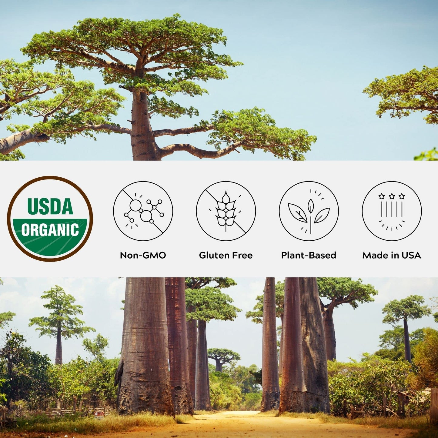 One Farm by WAAYB Organic Baobab Powder - Non-GMO, Fair-Trade, Vegan, Gluten Free, Premium Quality, 100% South African, Resealable Jar