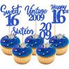 30PCS Happy 16th Birthday Cupcake Toppers Cheers to 16 Vintage 2009 Cupcake Picks Sweet 16 Sixteen 16th Birthday Decorations for