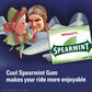 Wrigleys Spearmint, 15-Count (Pack Of 10)