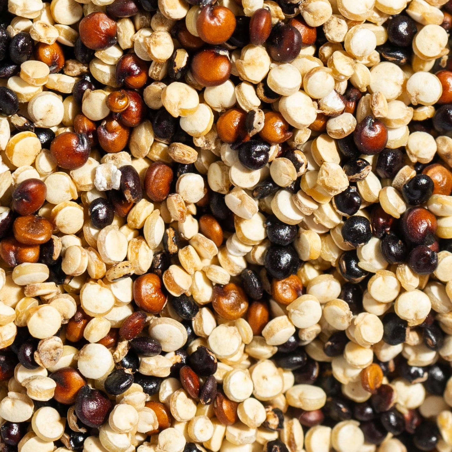 SIMPLi Regenerative Organic Certified Tri-Color Quinoa, Ancient Grain, Complete Plant-Based Protein, Naturally Gluten-Free, Orga