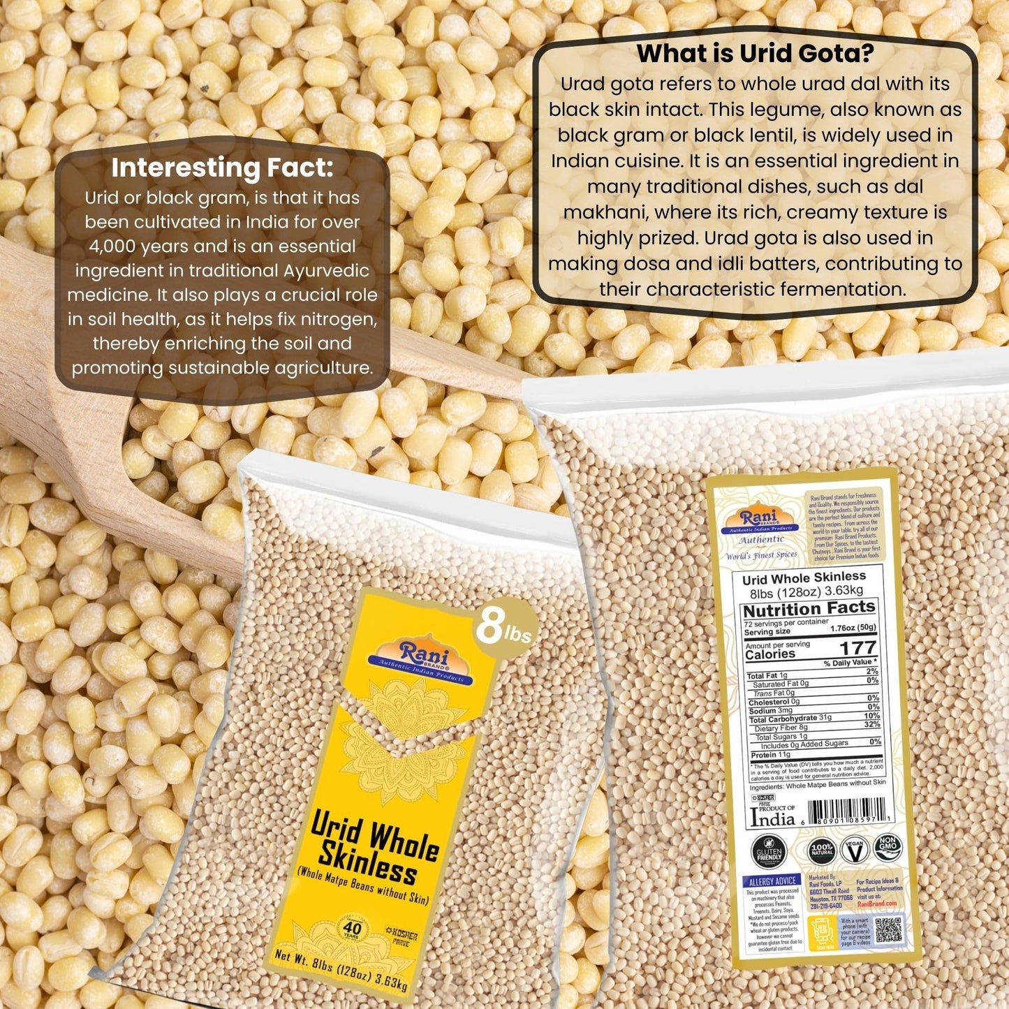 Rani Urid/Urad Gota White (Matpe Beans Skinless) Indian Lentils 128Oz (8Lbs) 3.63Kg Bulk ~ All Natural | Gluten Friendly | Non-G