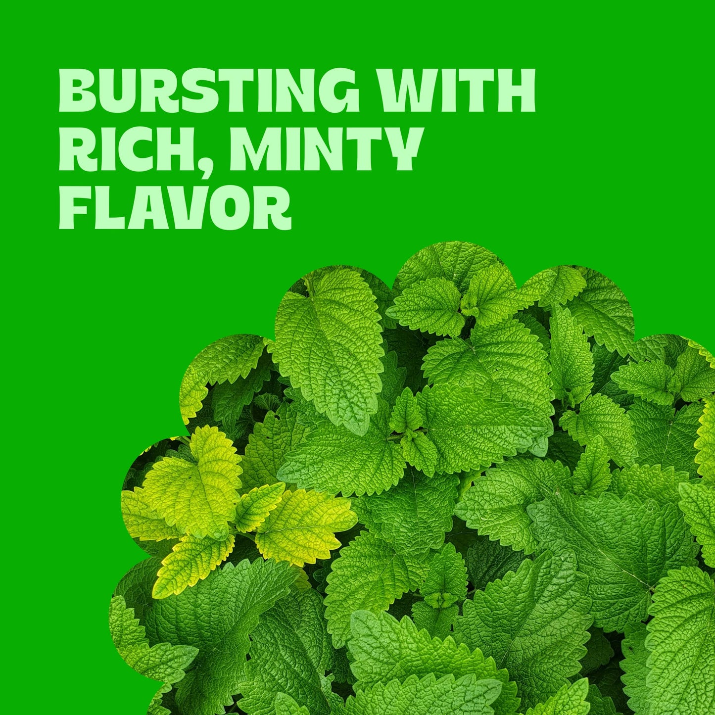 Cambie - Jelly Spearmint Leaves Candy, Sugar Coated Natural Spearmint Flavor, Soft & Chewy Texture, Perfect for Snacking, Sharin