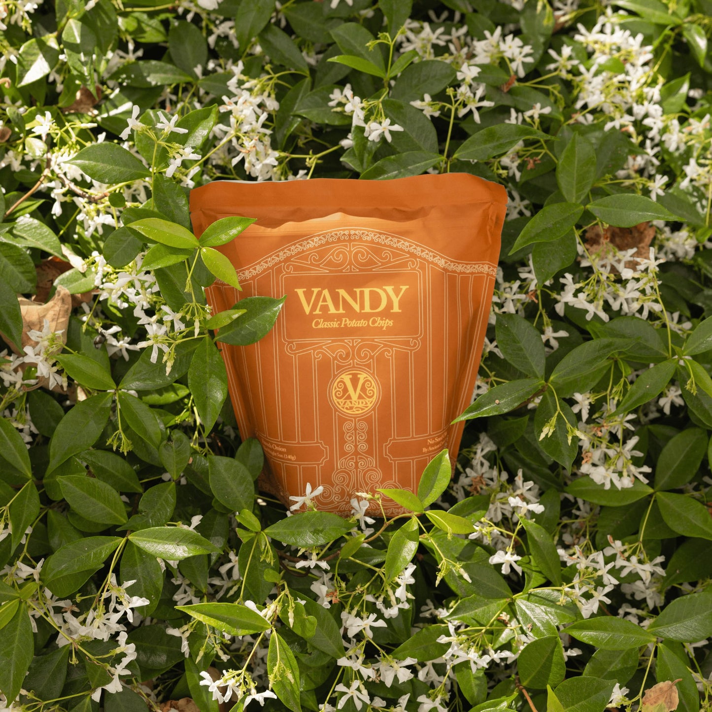 Vandy Crisps Potato Chips - Seed Oil Free Snacks - Gluten Free Potato Chip - Made with Potatoes, Grass-Fed Beef Tallow, Sea Salt