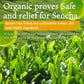 Organic Green Tea, Kukicha Twing Tea With Matcha Green Tea Powder, Japanese Tea -Karigane- 100G Bag?Yamasan?