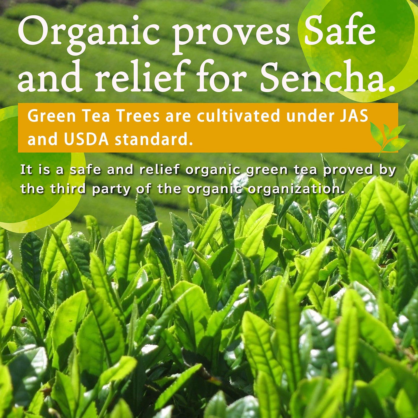 Organic Green Tea, Kukicha Twing Tea With Matcha Green Tea Powder, Japanese Tea -Karigane- 100G Bag?Yamasan?