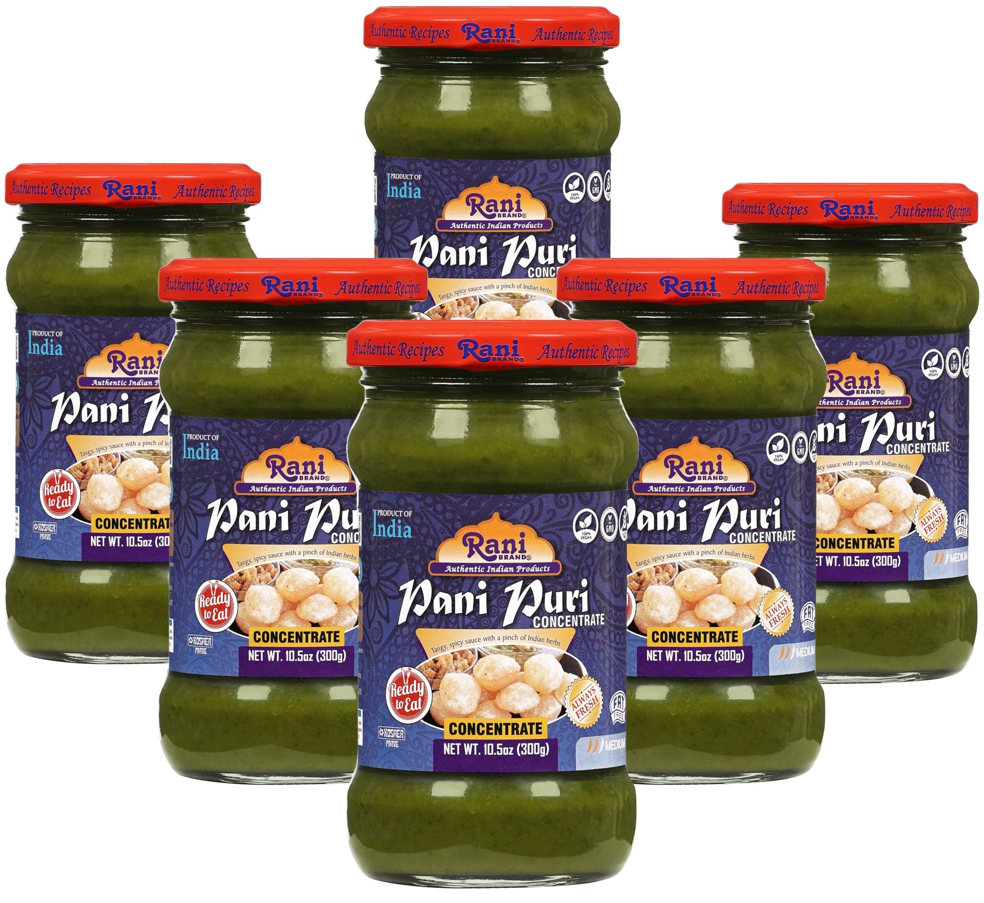 Rani Pani Puri Concentrate (Sweet & Spicy to Make Pani Water/Spicy Water) 10.5oz (300g) Glass Jar, Ready to Eat, Pack of 5+1 FRE