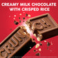 CRUNCH Milk Chocolate and Crisped Rice  Fun Size Candy Bars  12 Bags  10 oz Each Bag