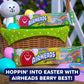 Airheads Xtremes Sweetly Sour Candy Belts, Hoppin Berry, 2oz Pack of 18