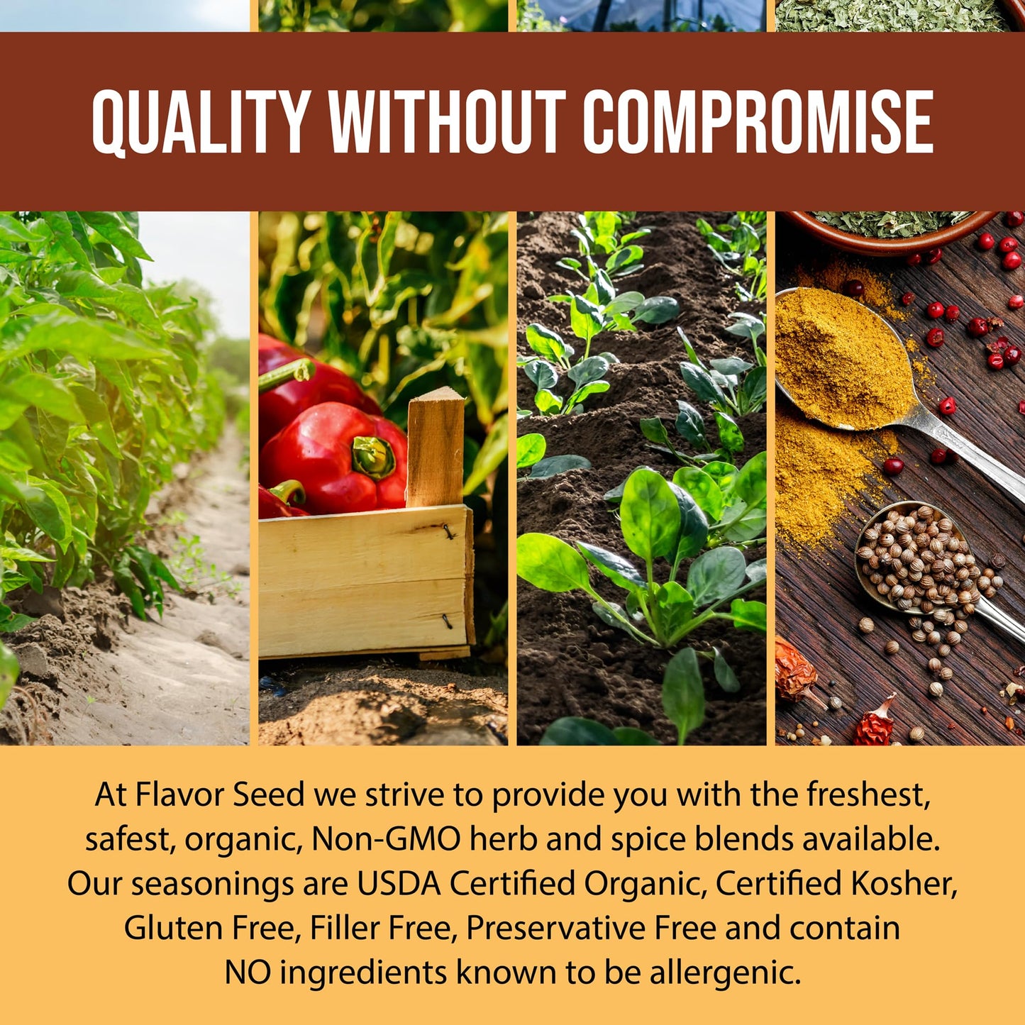 Flavor Seed Organic Fajita Seasoning - Keto Friendly, 2.7oz Shaker Jar