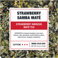 Tiesta Tea Strawberry Samba Mate - High Caffeinated Loose Leaf Tea, 4 oz Tin - Makes Hot or Iced, Up to 50 Cups