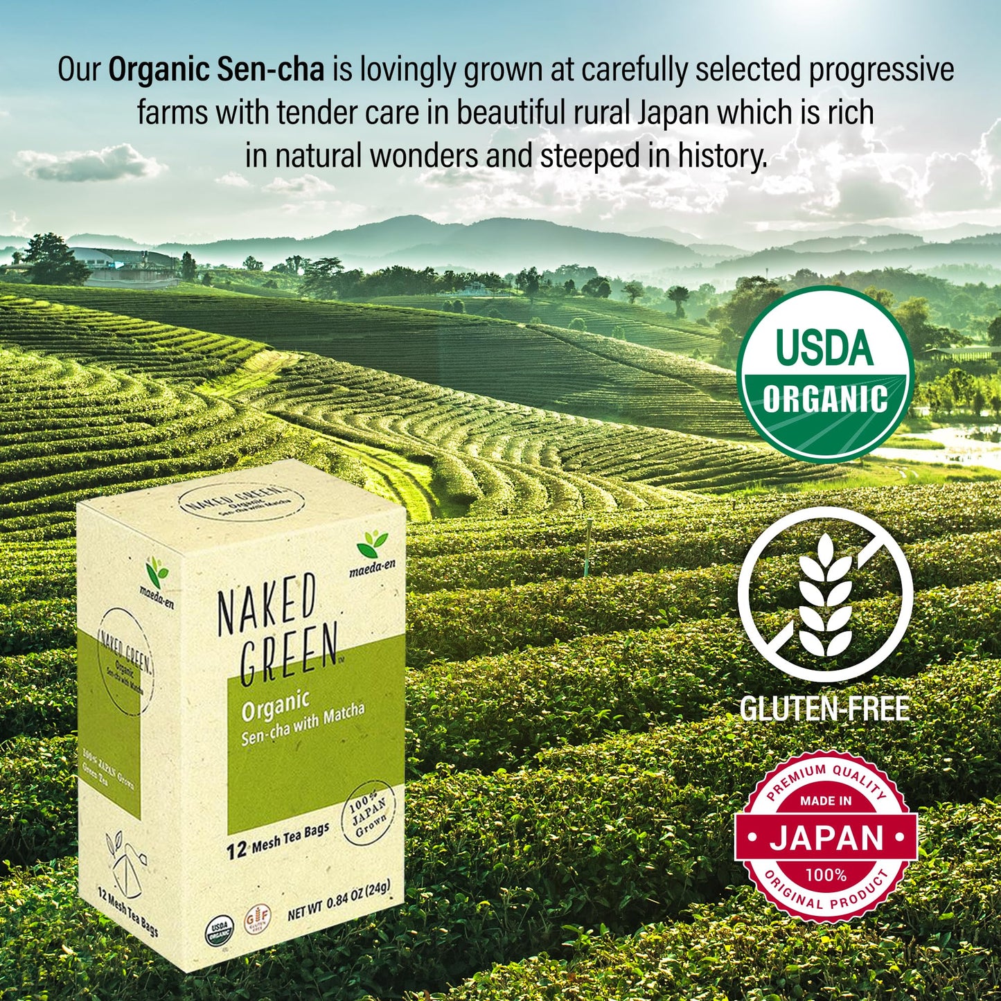 Maeda-En Naked Green Organic Sen-Cha With Matcha 36 Tea Bags Hot Or Cold Drink Green Tea Japanese Origin Individually Wrapped Te