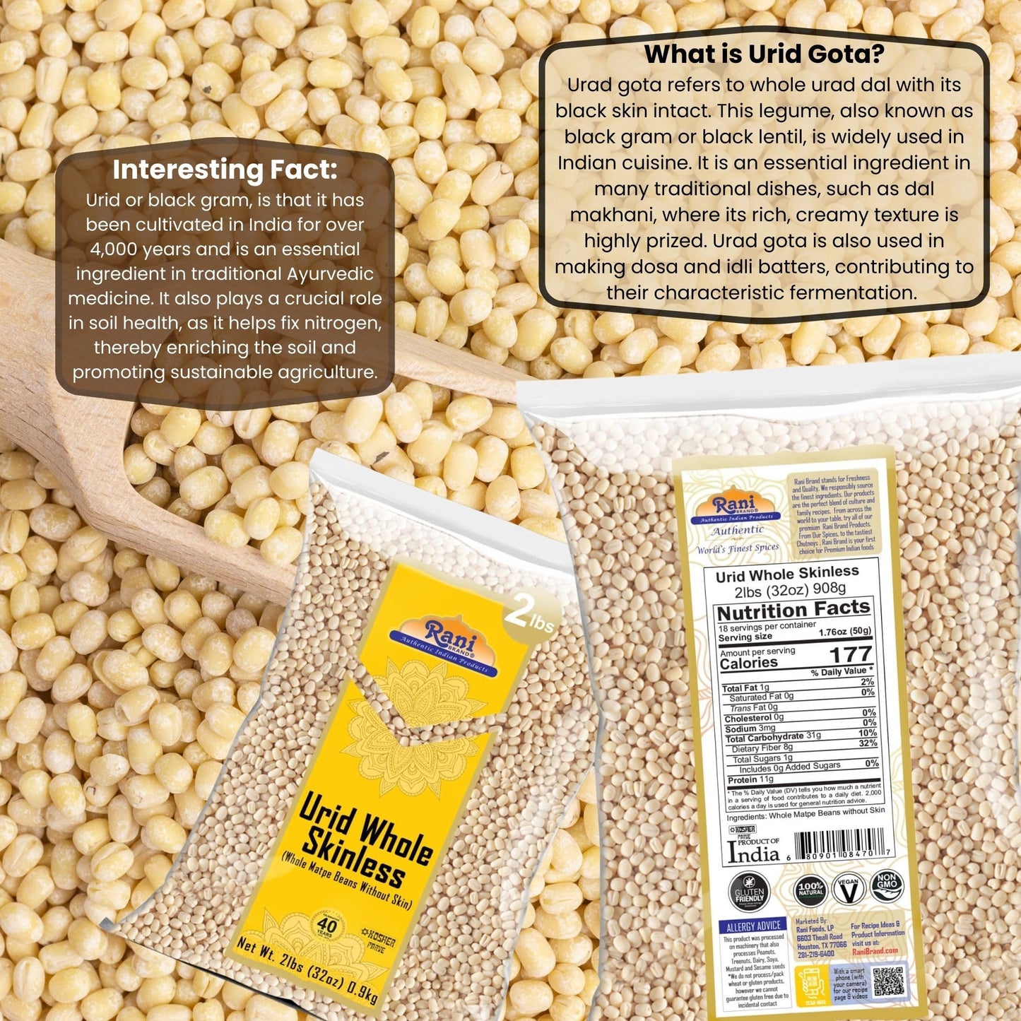 Rani Urid/Urad Gota White (Matpe Beans Skinless) Indian Lentils 32Oz (2Lbs) 908G ~ All Natural | Gluten Friendly | Non-Gmo | Kos