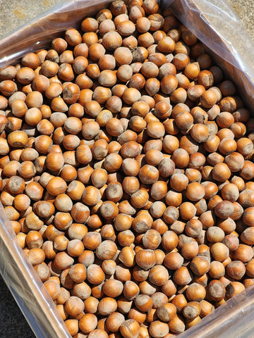 Raw, small size in-shell Hazelnuts grown in our family s orchard. 12 pound squirrel box.