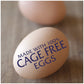 Hellmann s Light Mayonnaise Stick Packets Easy Open, Condiment for Sandwiches, Salads, Mayo Made with 100% Cage Free Eggs, Glut