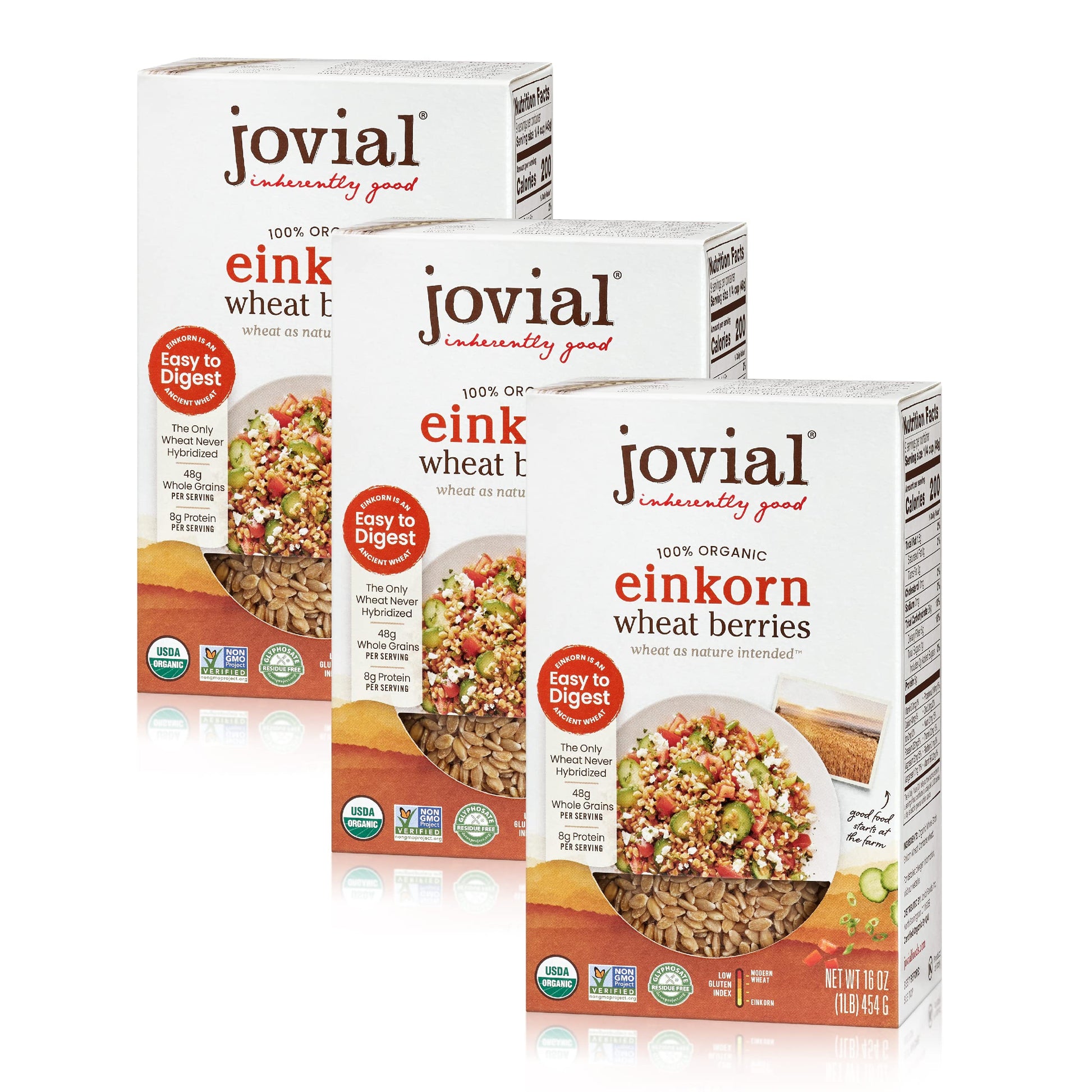 Jovial Einkorn Organic Wheat Berries, High Protein, Non-GMO, 16 Oz, 3 Pack