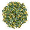 Jolly Ranchers Hard Candy 3lbs- All Green Apple Individually Wrapped Delicious Fresh Candy  48oz (Packaging Might Vary)