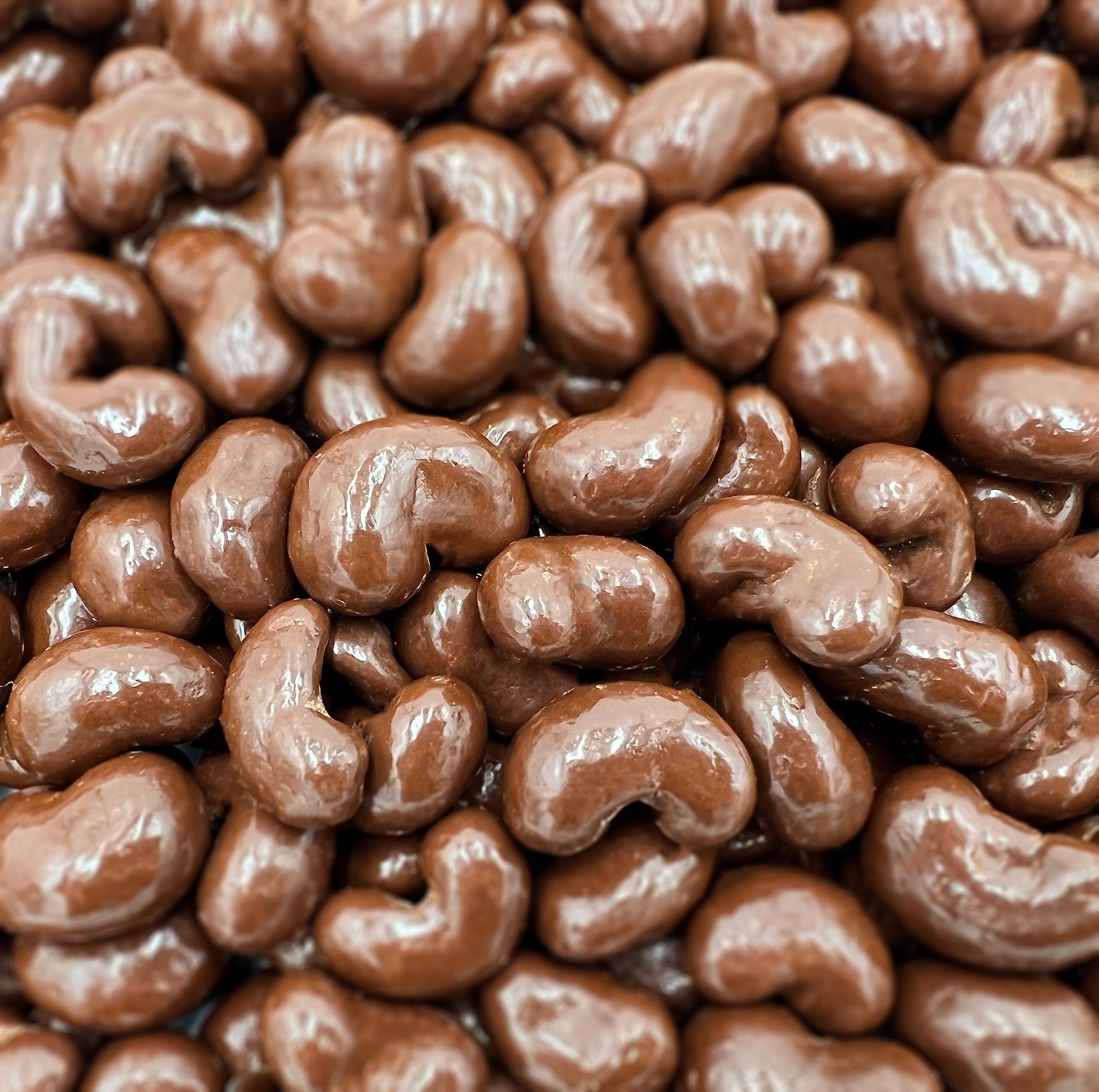 Milk Chocolate Covered Cashews Candy (2 Pound Bag)