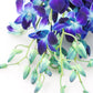 KaBloom Exotic Sapphire Orchid Bouquet - Blue - 10 - Model KaB-AZ-1147-NV - Perfect for Mothers Day, Birthdays, Sympathy, and Thank You Gifts