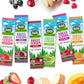 Black Forest Fruit Strips, Assorted Flavors, Zero Added Sugar, 48 Count, Non-GMO