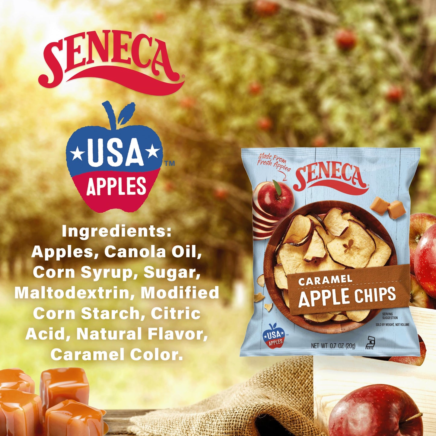 Seneca Caramel Apple Chips | Made from Fresh Apples | 100% Red Delicious Apples | Yakima Valley Orchards | Crisped Apple Perfect